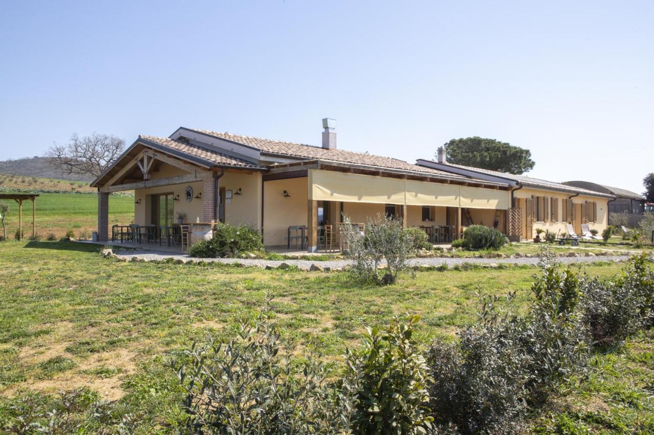 Agriturismo Casa Ricci Мальяно-ин-Тоскана Экстерьер фото